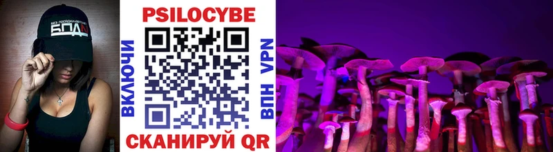 наркота  Шумиха  Псилоцибиновые грибы Psilocybine cubensis 