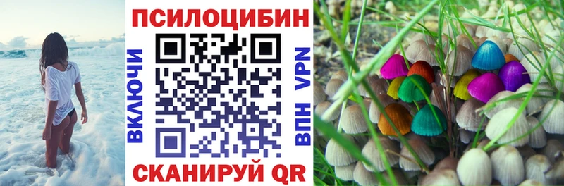 Галлюциногенные грибы GOLDEN TEACHER Шумиха
